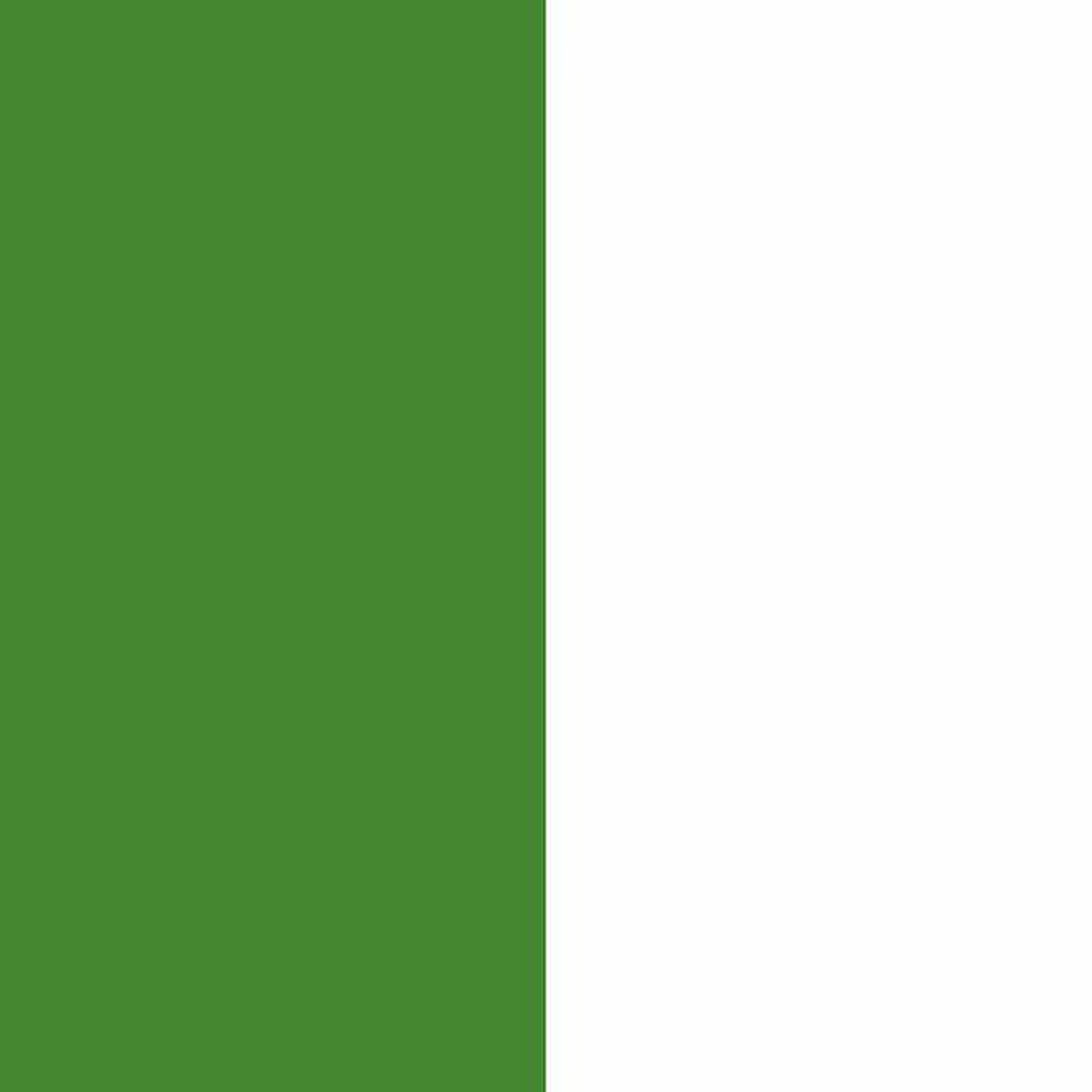 Aluminum Sheet, Painted,Extreme Green/White, 0.040″ x 30″ x 48″ VP 1 Side