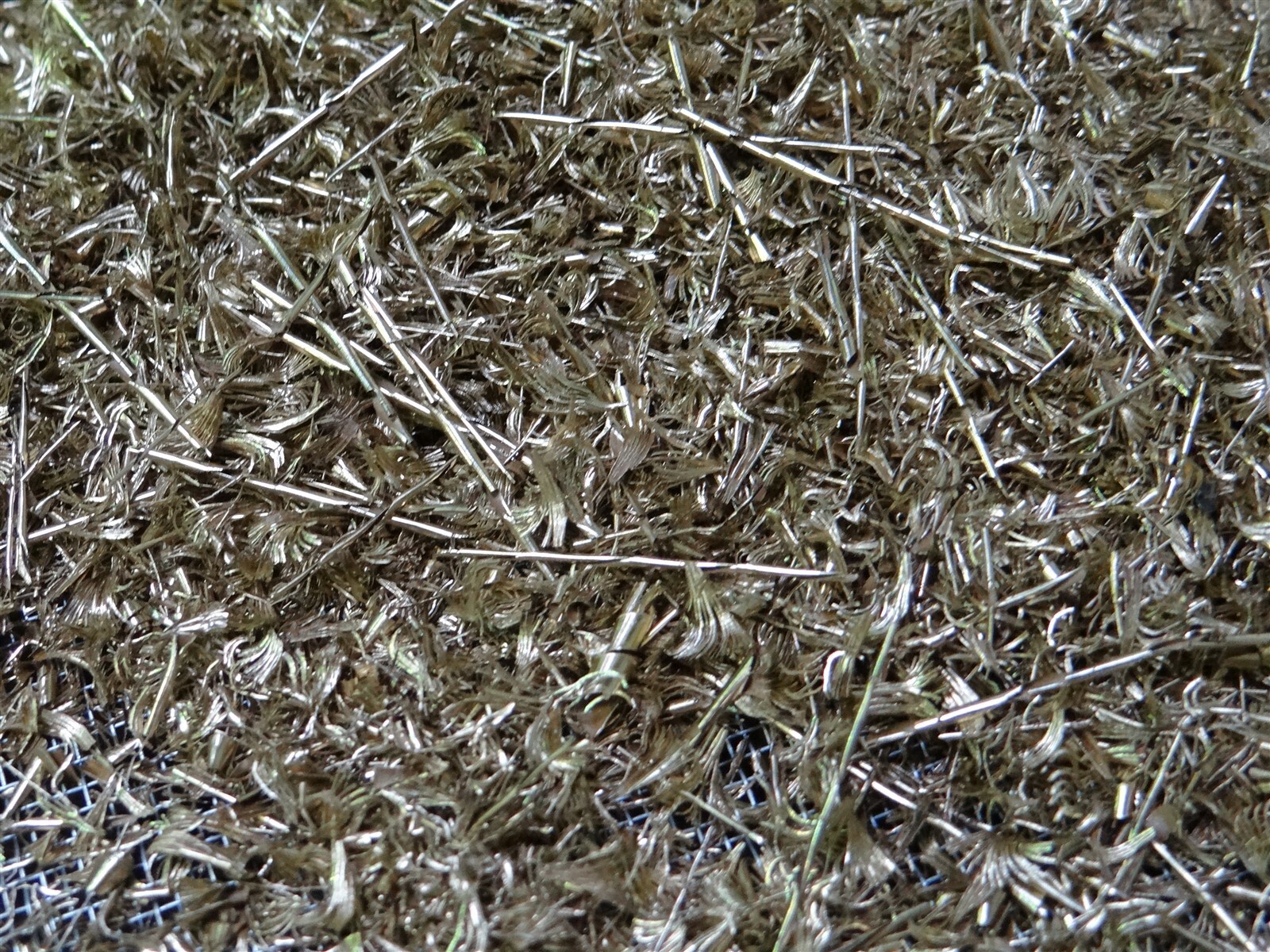 1LB of Unique Naval Brass Shavings Filings Turnings Chips Science Orgone Art