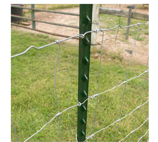 Green Steel Fence T-Post 6 ft 1-3/4×3-1/2 Anchor Plate No-Rust Studded